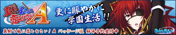 真剣で私に恋しなさい！Ａパッケージ版