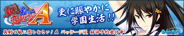 真剣で私に恋しなさい！Ａパッケージ版