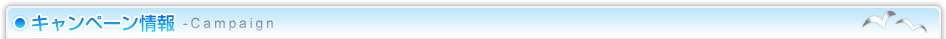 キャンペーン情報